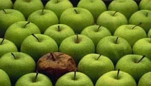 A bad apple